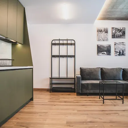 Apartamenty W Centrum Gorski Krysztal Закопане Екстер'єр фото